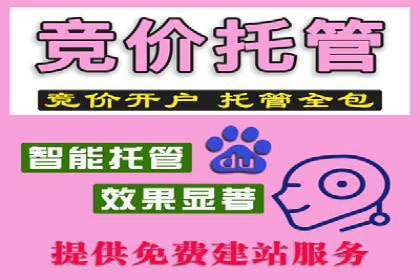 某行业SEM代理案例分享